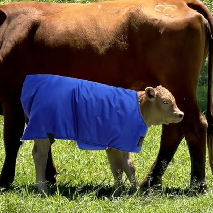 TEHAUX Goat Blanket, Sheep Blanket Livestock Shelter Windproof Goat Coat Warmming Thickened Calf Blanket for Calf Goat Horse Sheep - 108 * 85cm/42.44 * 33.41inch (Random Color)
