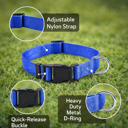 3 Set of Goat Harness in Red Green Blue Colors,Goat Collars with Bells,Adjustable Farm Collar for Grazing Management and Animal Tracking, Durable Livestock Accessories for Small Farms(18"-23")