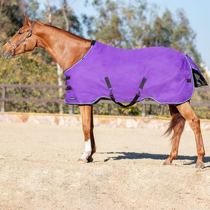 Kensington Horse Turnout Blanket - (80g Fill) Lightweight - 1200D Ripstop - Waterproof, Breathable, Wicking Liner - Best for Mild Spring/Fall Weather: Size 66 | 1200D ripstop waterproof shell with breathable wicking liner, 80g fill best for mild spring an