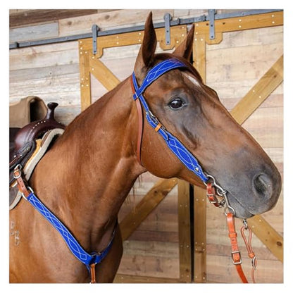 CIRCLE Y Marfa Lights Suede Browband Headstall | Double Ply Western Headstall with Suede Overlay, White Stitching & Stainless Steel Hardware | 35"- 43" Adjustable Fit - color: Royal Blue
