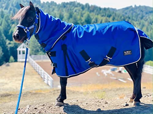 Mini-Pony Horse Ripstop Waterproof Windproof Blanket Hooded Lightweight Turnout Rain Sheet Breathable Lining 1200 Denier Material 350 Fill (40-42", Royal Blue) - color: Royal Blue, size: 40-42"