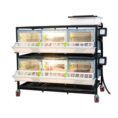 Hatching Time 9.5" Chick Brooders – Stackable or 2-Section Options with Automatic Heating, Modular Design, Easy to Clean, Ideal for Quail, Pheasant, and Baby Chicks (2 Layer) - style: 3 Section, 2 Layer