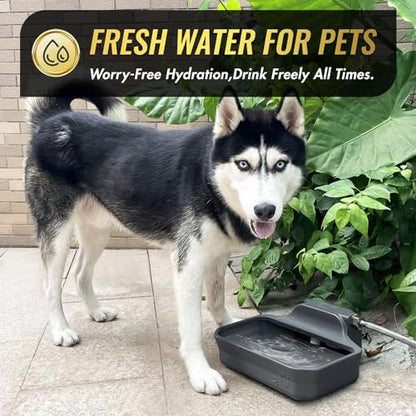 FICUSWIN 135OZ Automatic Water Dispenser for Large Dogs Patented Outdoor Dog Water Bowl Dispenser Automatic Dog Feeder Fit 3/4'' GHT Faucet Dog Waterer Include Water Hose Extra-Large Drinking Area - color: Grey