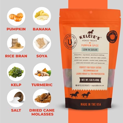 Kelcies Pumpkin Spice Horses Treats - Low Sugar, Starch, and Carbohydrates | Healthy Treats for Horse Supports Superior Digestion 1 Pound (Pack of 1) - size: 1 Pound (Pack of 1)
