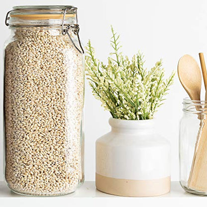 Glass Jar with Airtight Lid 67 oz | Food Storage Jar, Wide Mouth, Leak Proof Kitchen Canister - size: 67 oz