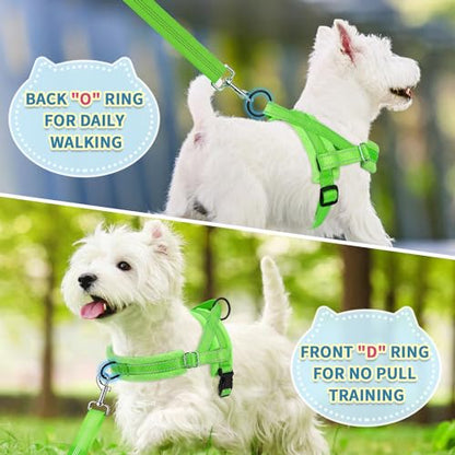 SlowTon No Pull Small Dog Harness and Leash Set with Front Clip | Soft Padded, Neck & Chest Adjustable, Lightweight, Anti-Twist, Puppy Vest Harness Pet Lead Combo for Small Medium Dog, G S - color: Green, size: Small