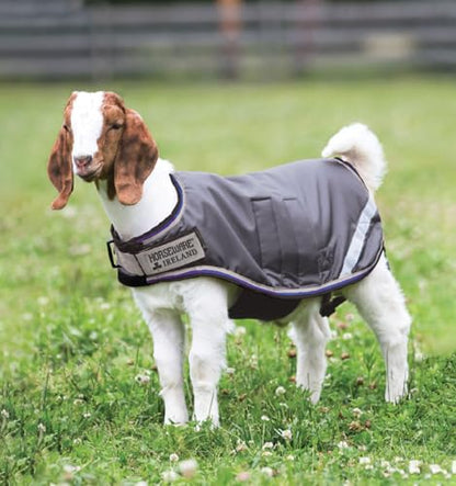 Horseware® Goat Rug - Excalibur/Silver & Strong Blue & Black, S - color: Excalibur/Silver & Strong Blue & Black, size: Small