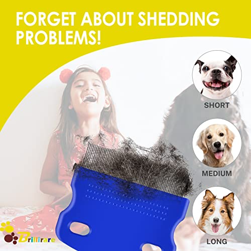 6 Pack Dog Grooming Comb, Pet Flea Lice Stainless Steel Cat Combs with Rounded Teeth, 2-in-1 Double Sided Professional Dogs Tear Stain Remover, Dematting Tool for Small, Medium & Large Pets