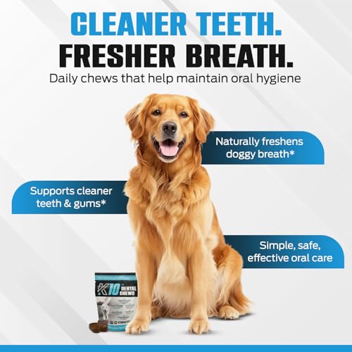 K10 Dental Chews for Dogs, Human-Grade Dog Dental Cleaning Chews, 10 Count - style: Dental Chews 10 Count