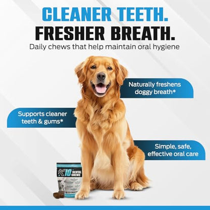 K10 Dental Chews for Dogs, Human-Grade Dog Dental Cleaning Chews, 10 Count - style: Dental Chews 10 Count