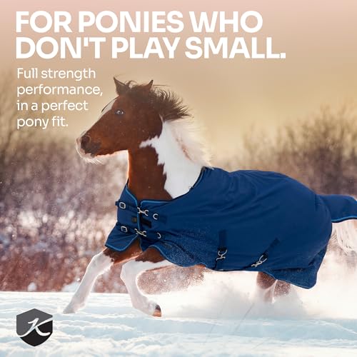 Kensington Horse Pony Turnout Blanket - (80g Fill) Lightweight - 1200D Ripstop - Waterproof, Breathable, Wicking Liner - Best for Mild Spring/Fall Weather: Size 63