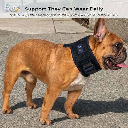 Dog Neck Brace - Adjustable Cervical Support Collar with Removable Splints for IVDD, Wobbler Syndrome, Spinal Injuries & Post-Surgery Recovery - Soft Neoprene Cat & Dog Neck Wound Cover (S) - size: S