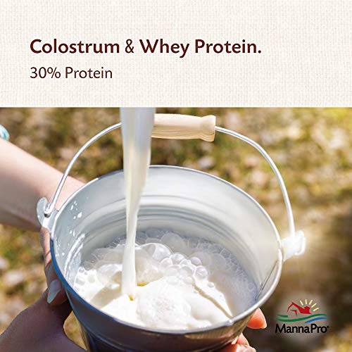 Manna Pro Goat Kid Colostrum Supplement with Vitamins, 8 oz | Colostrum Supplement for Newborn Goat Kids, Supports Healthy Development, Fortified with Vitamins & Minerals - size: 8 Ounce (Pack of 1)