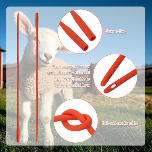 Rubber Lamb Feeding Tubes 16" x 16FR, for Goat Piglet Puppy,Red,10 Pack - color: 10 Pack, size: 16 FR