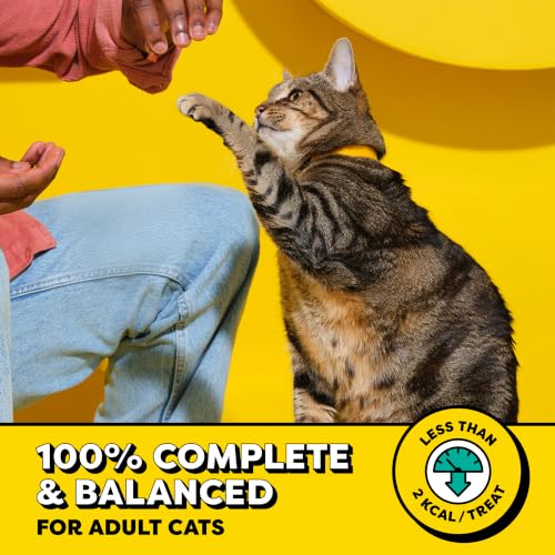 Temptations Classic Crunchy and Soft Cat Treats, Tasty Chicken, 30 oz | Under 2 calories per treat, crunchy outside & soft inside, resealable tub, use as meal or topper, 100% complete & balanced - size: 1.88 Pound (Pack of 1)