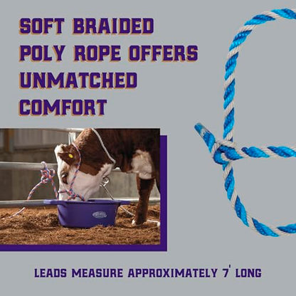 Weaver Livestock Braided Poly Rope Cattle Halter, Adjustable Cow Calf Halter, Livestock Handling Equipment for Showing, Dark Blue/Hurricane Blue/Gray - color: Dark Blue/Turquoise/Gray, size: One Size