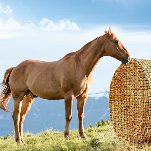 Round Bale Hay Net for Horses-5x5ft Size, Nylon Net with 1.75 Inch Holes