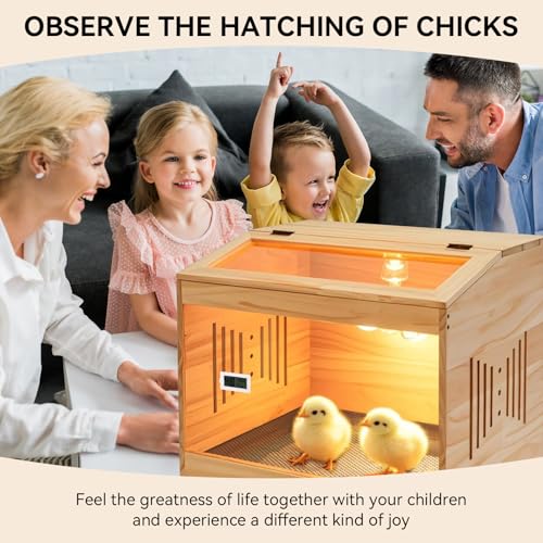 Brooder Box for Chicks, Wooden Chicken Brooder with Heat Lamp
