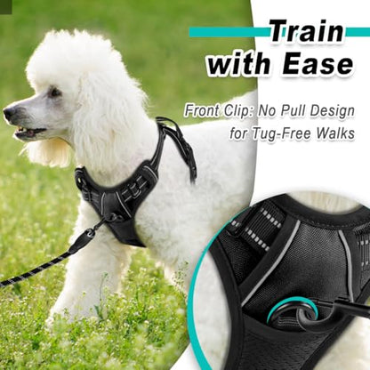 BARKBAY Dog Harness for Small Sized Dog No Pull 2 Leash Clips Dog Vest - color: Black, size: X-Small