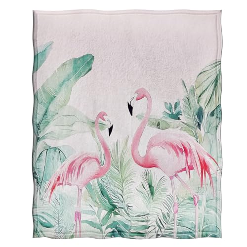 Jekeno Flamingo Gifts Blanket Tropical Palm Leaves Throw Blanket - color: Flamingo Pink 1, size: 50"x60"