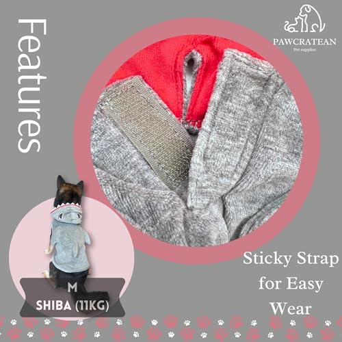 Pet Custom Dog Custom Cat Custom Hoodie, Sporty Look, Funny Gift, Halloween Holiday (Shark with Hat, Large) - color: Shark with Hat, size: Large