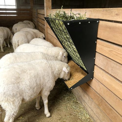 Wall Mount Hay Feeder, 2 in 1 Hay & Grain Livestock Feeder - color: Black