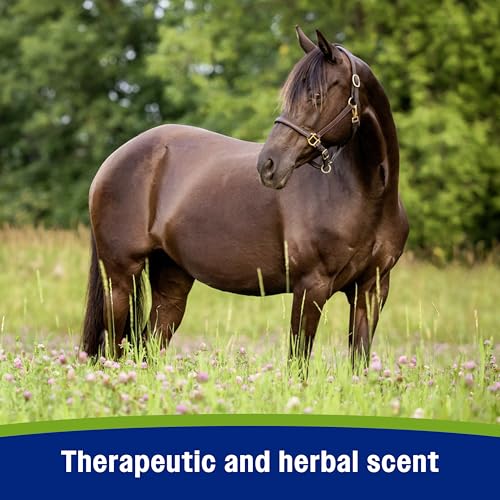 Farnam Equisect Water-Based Botanical Fly Repellent for Horses, 32 oz - size: 32 Fl Oz (Pack of 1)
