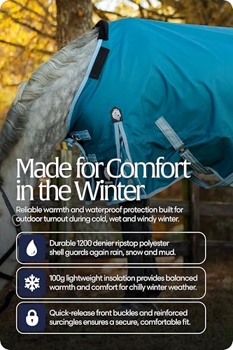 Equinavia Arktis Reg. Neck Lightweight Turnout Blanket 100g - Deep Green - 66 in - color: Deep Green, size: 66 in