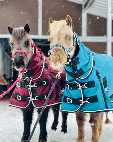 Mini-Pony Horse Ripstop Waterproof Windproof Blanket Hooded Lightweight Turnout Rain Sheet Breathable Lining 1200 Denier Material 350 Fill(38-40", Raspberry) - color: Raspberry, size: 38-40"