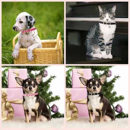 Blue XS Dog Collar with Bell Puppy Collars Bells Cat Small Dog Bell Collar - color: Dark Blue, size: XS(Neck 8-10.5")