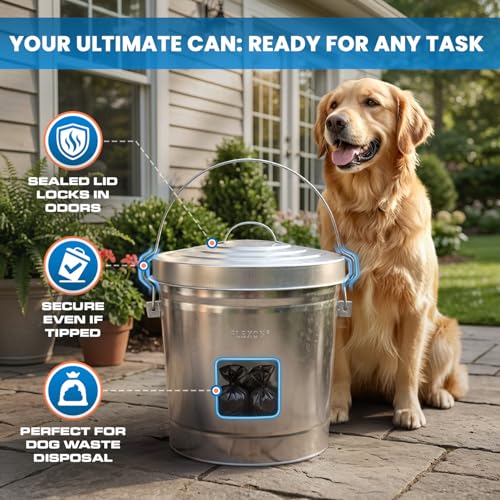 Plexon 6 Gallon Small Metal Trash Can with Lid Outdoor Locking Galvanized Metal Garbage Can with Lid for Poultry Feed Bird Seed Storage Ash Galvanized Bucket