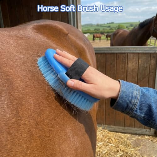 Horse Grooming Kit 13 Piece, Horse Brushes for Grooming Supplies Set
