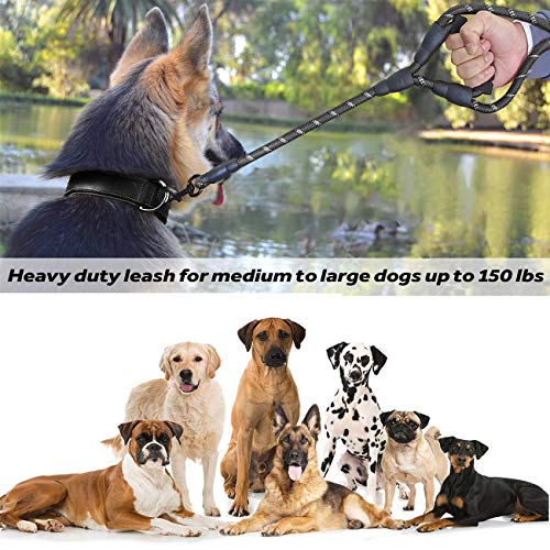 JSXD Heavy Duty Double Handle Dog Leash - 5 FT, Padded & Reflective, Rope for Small to Large Dogs (Black) - color: Rope-Black