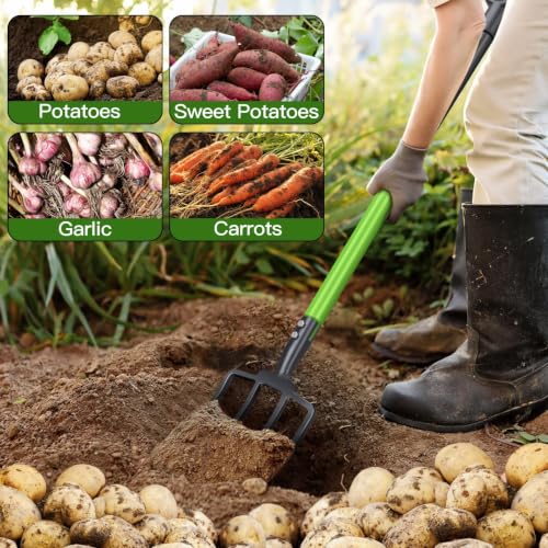 Pitch Fork,4-Tine,45-Inches Garden Fork with Steel D-Handle for Gardening | Pitchfork with Ergonomic Fiberglass Handle and Metal Tine,45 Inch Spading Fork for Mulching,Composting and Loosening Soil
