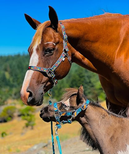 Star Point Horsemanship Rainbow Cheetah Halter - size: Medium Mini 28-32"