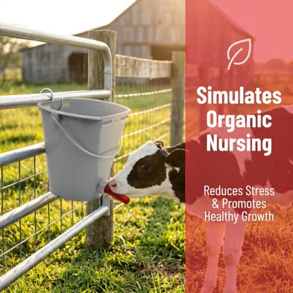 3 Pcs 8.45 Quart Calf Nursing Bucket Feeder with Nipple and Hanger | Hanging calf pails for over-the-fence feeding, suitable for calves, cattle, stalls, barns, and livestock care.