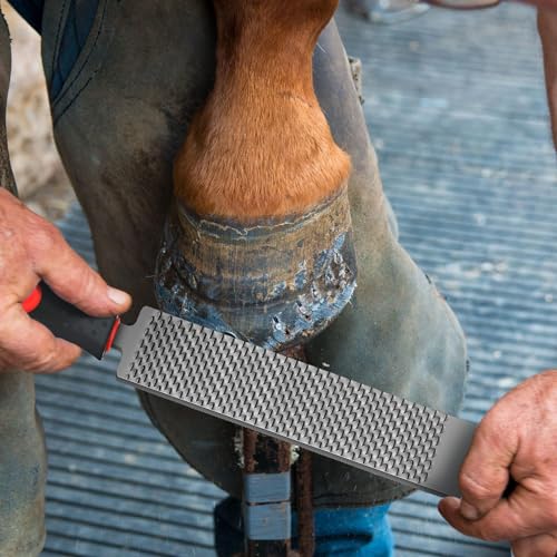 Gisafai 2 Pcs 12 Inch Rasps for Shoeing Horses with Handle Trimming File Carbon Steel Farrier Tools for Repair Horse Goat Hooves Cow Donkey Pig Animal Hooves Repairing Wood Working Supplie - size: 12 Inch