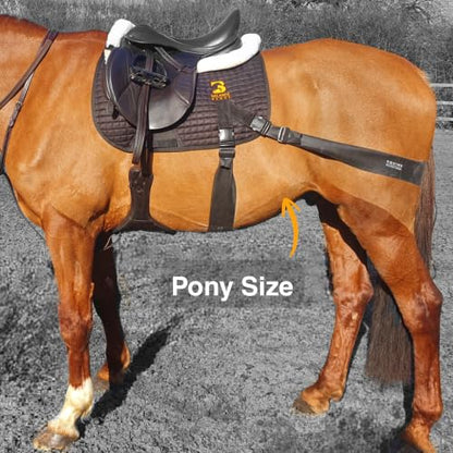 Core Conditioning Saddle Pad & Band System for Horses - style: Pony