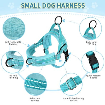 SlowTon No Pull Small Dog Harness and Leash Set with Front Clip | Soft Padded, Neck & Chest Adjustable, Lightweight, Anti-Twist, Puppy Vest Harness Pet Lead Combo for Small Medium Dog, TL XS - color: Teal, size: X-Small