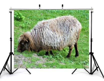 17x10ft Fluffy Wool Sheep Backdrop Curly Grey Brown Fur Fresh Green Meadow Grass Photography Background Tapestry Party Farm Animal Decorations Banner Photo Booth Props - size: 17x10ft