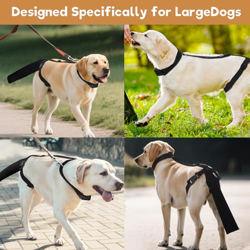 Dog Tail Protector for Large Dogs Adjustable Harness Style Tail Guard-Black