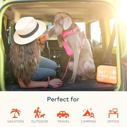 ARCA PET Cat & Dog First Aid Kit for Car - Pet Emergency Kit for Home Office Travel – Dog Camping Essentials with Digital Thermometer, Muzzle & Mini First Aid Pouch (Pack of 2) - size: CoreCare Kit (Pack of 2)