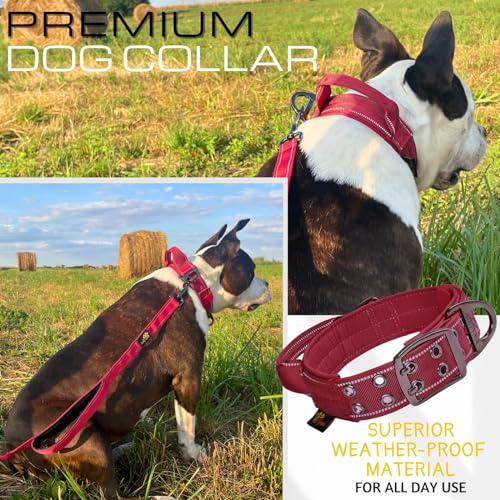 ADITYNA Heavy Duty Dog Collar for Medium Dogs with Traffic Handle - color: Burgundy, size: Medium: Fit 15-19" Neck