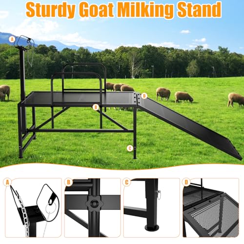 Goat Stand with Ramp for Sheep & Goats, Adjustable Height 20"-32", 47x23" Metal with Headpiece & Nose Loop for Hoof Trimming, Milking & Shearing