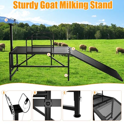 Goat Stand with Ramp for Sheep & Goats, Adjustable Height 20"-32", 47x23" Metal with Headpiece & Nose Loop for Hoof Trimming, Milking & Shearing
