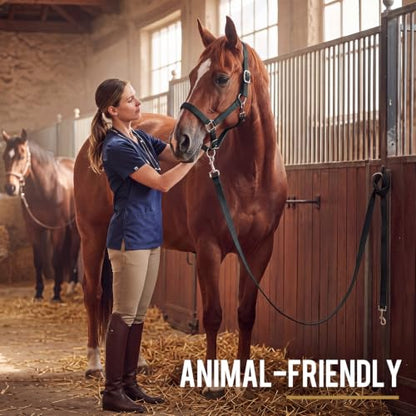 2 Pack Nylon Horse Halter with Reins Adjustable | Training, Show, Pony, Padded, Reinforced, Brass Snap, Equine Stable Supply - color: Black