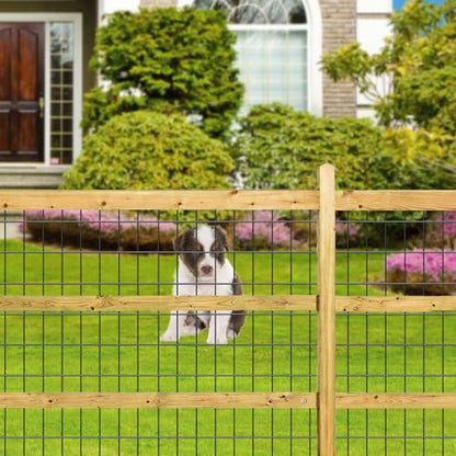 Amagabeli Black Coated Welded Wire Fence 2 inch x 3 inch 24inch x 50ft 16 Gauge Garden Fence Chicken Wire Fencing Roll PVC Vinyl Coating Metal Wire Flower Bed Dog Barrier Plant Poultry Netting Cage - color: Black, size: 2''x3'' 16GA 24''x50'
