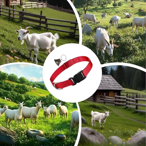 Goat Show Collar Adjustable Nylon Pet Collar