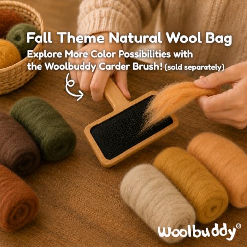 Woolbuddy Wool Roving Kit for Needle Felting (Fall), 6 Colors Natural Wool - color: Wool Bag Fall
