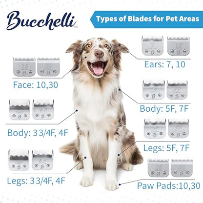 Detachable A Series 8 1/2 Blade Dog Grooming Clipper Blade Cuts Length 7/64" - 2.8mm Japanese Carbon Steel 8 1/2 Clipper Blade | 2.8mm Clipper Blade (Compatible A5 Series(B812) - color: 812 (7/64" - 2.8mm)